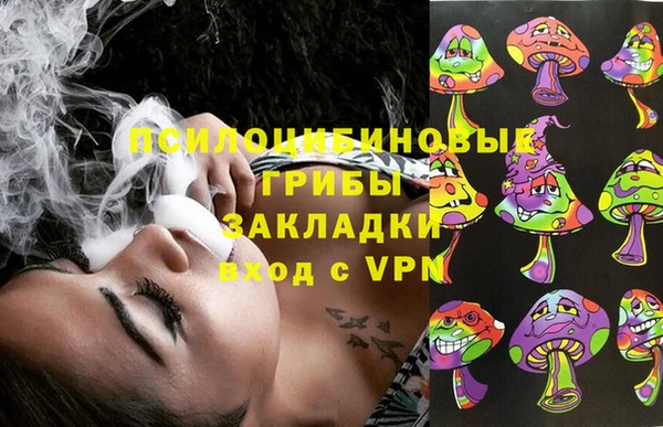 шишки Сосновка