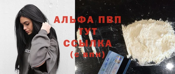 гидра Сосновый Бор